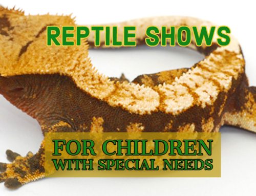 Reptile Shows For Children With Special Needs